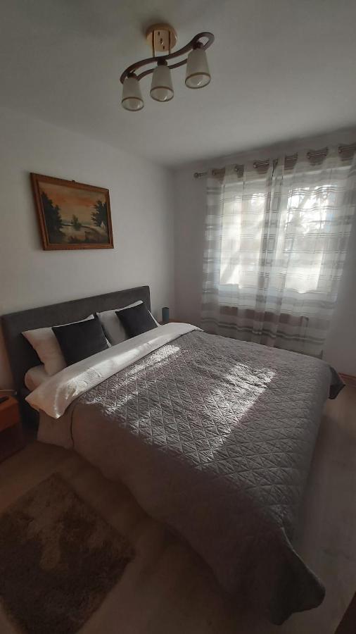 Relax Apartament Leilighet Satu Mare Eksteriør bilde